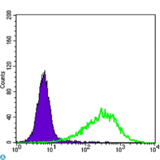 RAB25 Antibody - Flow cytometric (FCM) analysis of NIH/3T3 cells using Rab 25 Monoclonal Antibody (green) and negative control (purple).
