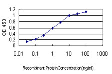 RAB27A / RAB27 Antibody - Detection limit for recombinant GST tagged RAB27A is approximately 0.03 ng/ml as a capture antibody.