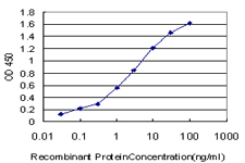 RAB3A Antibody - Detection limit for recombinant GST tagged RAB3A is approximately 0.03 ng/ml as a capture antibody.