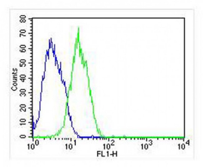 RAB3B Antibody - Overlay histogram showing HepG2 cells stained with antibody (green line). The cells were fixed with 2% paraformaldehyde (10 min) and then permeabilized with 90% methanol for 10 min. The cells were then incubated in 2% bovine serum albumin to block non-specific protein-protein interactions followed by the antibody (antibody, 1:25 dilution) for 60 min at 37°C. The secondary antibody used was Goat-Anti-Mouse IgG, DyLight 488 Conjugated Highly Cross-Adsorbed at 1:400 dilution for 40 min at 37 ° C. Isotype control antibody (blue line) was mouse IgG (1ug/1x10^6 cells) used under the same conditions. Acquisition of >10, 000 events was performed.