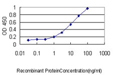 RAB4A / RAB4 Antibody - Detection limit for recombinant GST tagged RAB4A is approximately 0.1 ng/ml as a capture antibody.