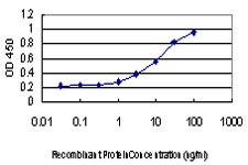 RAB6A / RAB6 Antibody - Detection limit for recombinant GST tagged RAB6A is approximately 1 ng/ml as a capture antibody.