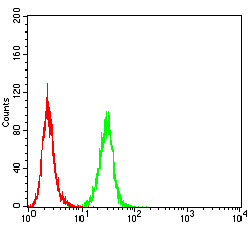 RAB8A / RAB8 Antibody - Flow cytometric analysis of HeLa cells using Rab8 mouse mAb (green) and negative control (red).