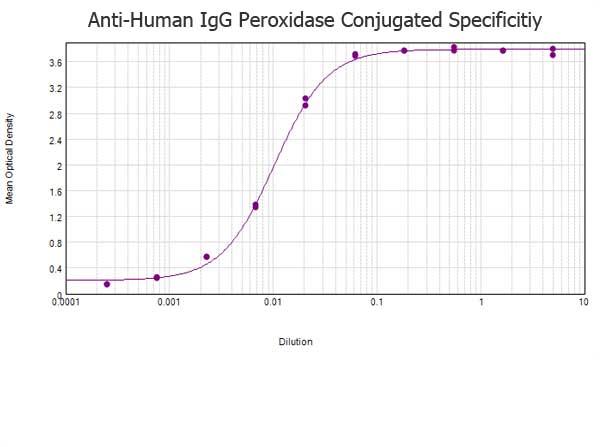 Human IgG Antibody - ELISA results of Rabbit anti-Human IgG Antibody Peroxidase Conjugated tested against purified Human IgG protein. Each well was coated in duplicate with 1.0 µg of Human IgG  The starting dilution of antibody was 5µg/ml and the X-axis represents the Log10 of a 3-fold dilution. This titration is a 4-parameter curve fit where the IC50 is defined as the titer of the antibody. Assay performed using 3% fish gelatin as blocking buffer and TMB substrate