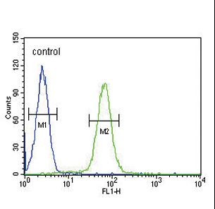 IGHG1 / IgG Antibody - IGHG1 Antibody flow cytometry of HL-60 cells (right histogram) compared to a negative control cell (left histogram). FITC-conjugated goat-anti-rabbit secondary antibodies were used for the analysis.