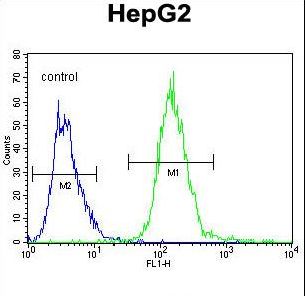 IGHG1 / IgG Antibody - IGHG1 Antibody flow cytometry of HepG2 cells (right histogram) compared to a negative control cell (left histogram). FITC-conjugated goat-anti-rabbit secondary antibodies were used for the analysis.