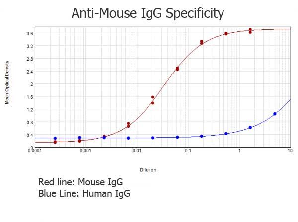 Mouse IgG Antibody - ELISA results of purified Rabbit anti-Mouse IgG Antibody (min x Human Serum Proteins) tested against purified Mouse IgG. Each well was coated in duplicate with 1.0 µg of Mouse IgG  The starting dilution of antibody was 5µg/ml and the X-axis represents the Log10 of a 3-fold dilution. This titration is a 4-parameter curve fit where the IC50 is defined as the titer of the antibody. Assay performed using 3% fish gelatin, Goat anti-Rabbit igG Antibody Peroxidase Conjugated (Min X Bv Ch Gt GP Ham Hs Hu Ms Rt & Sh Serum Proteins) and TMB ELISA Substrate