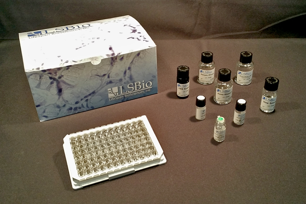 APOA1 / Apolipoprotein A 1 ELISA Kit