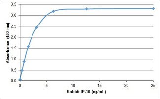 CXCL10 / IP-10 Protein - Recombinant Rabbit IP-10 detected using Goat anti Rabbit IP-10 as the capture reagent and Goat anti Rabbit IP-10:Biotin as the detection reagent followed by Streptavidin:HRP.