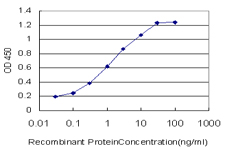 RABIF Antibody - Detection limit for recombinant GST tagged RABIF is approximately 0.03 ng/ml as a capture antibody.