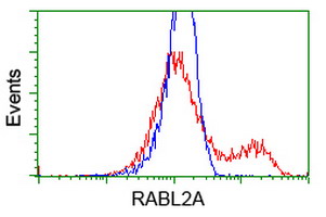 RABL2A Antibody - HEK293T cells transfected with either overexpress plasmid (Red) or empty vector control plasmid (Blue) were immunostained by anti-RABL2A antibody, and then analyzed by flow cytometry.
