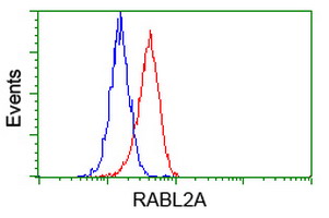 RABL2A Antibody - Flow cytometric Analysis of Hela cells, using anti-RABL2A antibody, (Red), compared to a nonspecific negative control antibody, (Blue).