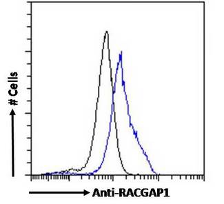 RACGAP1 / MGCRACGAP Antibody - RACGAP1 / MGCRACGAP antibody flow cytometric analysis of paraformaldehyde fixed MCF7 cells (blue line), permeabilized with 0.5% Triton. Primary incubation 1hr (10ug/ml) followed by Alexa Fluor 488 secondary antibody (4ug/ml). IgG control: Unimmunized goat IgG (black line) followed by Alexa Fluor 488 secondary antibody.