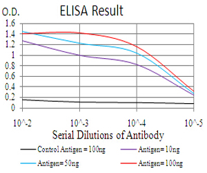 RALA / RAL Antibody - Black line: Control Antigen (100 ng);Purple line: Antigen(10ng);Blue line: Antigen (50 ng);Red line: Antigen (100 ng);