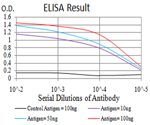 RALB Antibody - Black line: Control Antigen (100 ng);Purple line: Antigen (10ng); Blue line: Antigen (50 ng); Red line:Antigen (100 ng)