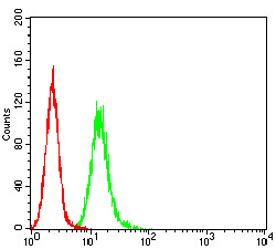 RALB Antibody - Flow cytometric analysis of Hela cells using RALB mouse mAb (green) and negative control (red).