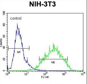 RAN Antibody - RAN Antibody flow cytometry of NIH-3T3 cells (right histogram) compared to a negative control cell (left histogram). FITC-conjugated goat-anti-rabbit secondary antibodies were used for the analysis.