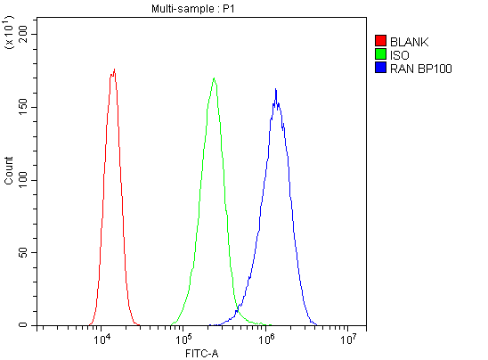 RAN Antibody - Flow Cytometry analysis of A431 cells using anti-Ran antibody. Overlay histogram showing A431 cells stained with anti-Ran antibody (Blue line). The cells were blocked with 10% normal goat serum. And then incubated with rabbit anti-Ran Antibody (1µg/10E6 cells) for 30 min at 20°C. DyLight®488 conjugated goat anti-rabbit IgG (5-10µg/10E6 cells) was used as secondary antibody for 30 minutes at 20°C. Isotype control antibody (Green line) was rabbit IgG (1µg/10E6 cells) used under the same conditions. Unlabelled sample (Red line) was also used as a control.