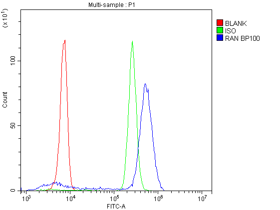 RAN Antibody - Flow Cytometry analysis of U937 cells using anti-Ran antibody. Overlay histogram showing U937 cells stained with anti-Ran antibody (Blue line). The cells were blocked with 10% normal goat serum. And then incubated with rabbit anti-Ran Antibody (1µg/10E6 cells) for 30 min at 20°C. DyLight®488 conjugated goat anti-rabbit IgG (5-10µg/10E6 cells) was used as secondary antibody for 30 minutes at 20°C. Isotype control antibody (Green line) was rabbit IgG (1µg/10E6 cells) used under the same conditions. Unlabelled sample (Red line) was also used as a control.