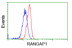 RANGAP1 Antibody - Flow cytometry of HeLa cells, using anti-RANGAP1 antibody, (Red), compared to a nonspecific negative control antibody, (Blue).