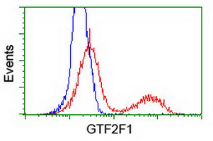 RAP74 / GTF2F1 Antibody - HEK293T cells transfected with either overexpress plasmid (Red) or empty vector control plasmid (Blue) were immunostained by anti-GTF2F1 antibody, and then analyzed by flow cytometry.