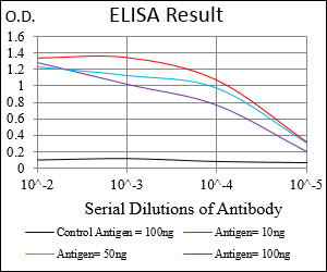 Raptor / Mip1 Antibody - Red: Control Antigen (100ng); Purple: Antigen (10ng); Green: Antigen (50ng); Blue: Antigen (100ng);