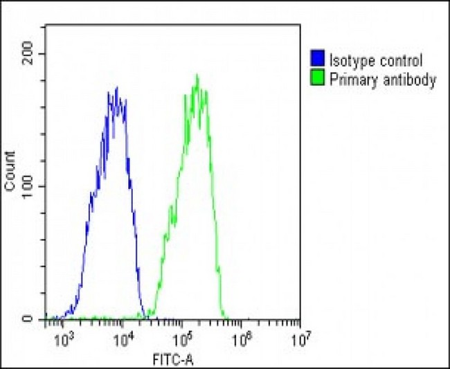 RARRES2 / Chemerin Antibody - Overlay histogram showing HepG2 cells stained with RARRES2 Antibody (Center) (green line). The cells were fixed with 2% paraformaldehyde (10 min) and then permeabilized with 90% methanol for 10 min. The cells were then icubated in 2% bovine serum albumin to block non-specific protein-protein interactions followed by the antibody (RARRES2 Antibody (Center), 1:25 dilution) for 60 min at 37°C. The secondary antibody used was Goat-Anti-Rabbit IgG, DyLight® 488 Conjugated Highly Cross-Adsorbed (1583138) at 1/200 dilution for 40 min at 37°C. Isotype control antibody (blue line) was rabbit IgG1 (1µg/1x10^6 cells) used under the same conditions. Acquisition of >10, 000 events was performed.