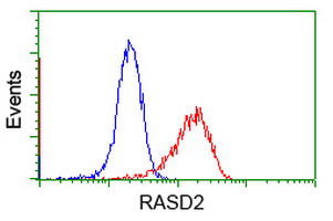 RASD2 Antibody - Flow cytometric Analysis of Jurkat cells, using anti-RASD2 antibody, (Red), compared to a nonspecific negative control antibody, (Blue).