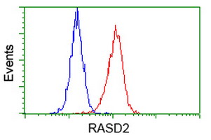 RASD2 Antibody - Flow cytometric Analysis of Hela cells, using anti-RASD2 antibody, (Red), compared to a nonspecific negative control antibody, (Blue).