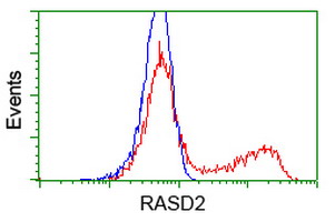 RASD2 Antibody - HEK293T cells transfected with either overexpress plasmid (Red) or empty vector control plasmid (Blue) were immunostained by anti-RASD2 antibody, and then analyzed by flow cytometry.