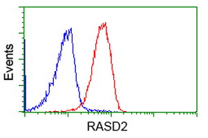 RASD2 Antibody - Flow cytometry of Jurkat cells, using anti-RASD2 antibody (Red), compared to a nonspecific negative control antibody (Blue).