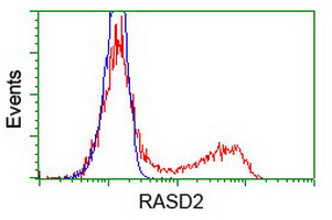RASD2 Antibody - HEK293T cells transfected with either overexpress plasmid (Red) or empty vector control plasmid (Blue) were immunostained by anti-RASD2 antibody, and then analyzed by flow cytometry.