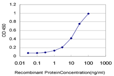 RASEF Antibody - Detection limit for recombinant GST tagged RASEF is approximately 0.3 ng/ml as a capture antibody.
