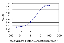 RASGRP4 Antibody - Detection limit for recombinant GST tagged RASGRP4 is approximately 0.03 ng/ml as a capture antibody.