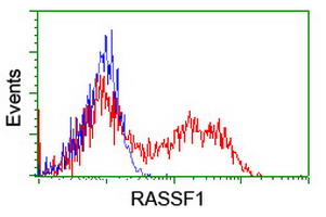 RASSF1 / RASSF1A Antibody - HEK293T cells transfected with either overexpress plasmid (Red) or empty vector control plasmid (Blue) were immunostained by anti-RASSF1 antibody, and then analyzed by flow cytometry.