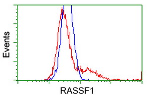 RASSF1 / RASSF1A Antibody - HEK293T cells transfected with either overexpress plasmid (Red) or empty vector control plasmid (Blue) were immunostained by anti-RASSF1 antibody, and then analyzed by flow cytometry.