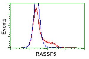 RASSF5 / RAPL Antibody - HEK293T cells transfected with either overexpress plasmid (Red) or empty vector control plasmid (Blue) were immunostained by anti-RASSF5 antibody, and then analyzed by flow cytometry.