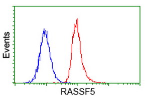 RASSF5 / RAPL Antibody - Flow cytometry of HeLa cells, using anti-RASSF5 antibody (Red), compared to a nonspecific negative control antibody (Blue).