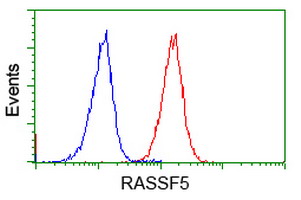RASSF5 / RAPL Antibody - Flow cytometry of Jurkat cells, using anti-RASSF5 antibody (Red), compared to a nonspecific negative control antibody (Blue).