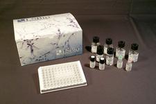 Anti-Ox LDL Antibody ELISA Kit