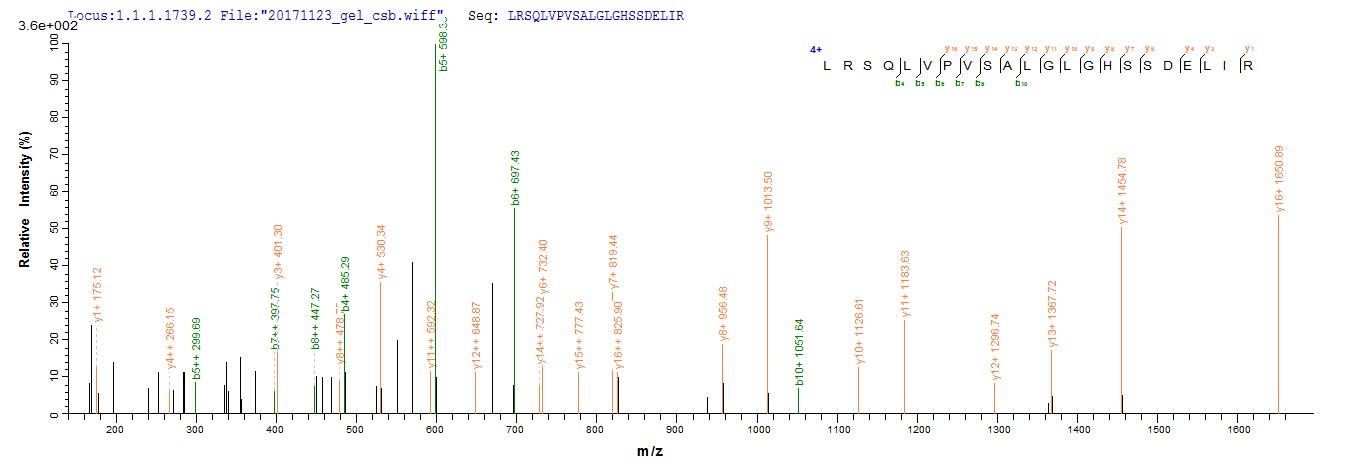 ARTN / Artemin Protein - Based on the SEQUEST from database of E.coli host and target protein, the LC-MS/MS Analysis result of Recombinant Rat Artemin(Artn) could indicate that this peptide derived from E.coli-expressed Rattus norvegicus (Rat) Artn.