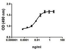 IL-3/ IL-5 / GM-CSF Protein - FDC-P1 cell proliferation induced by rat GM-CSF.