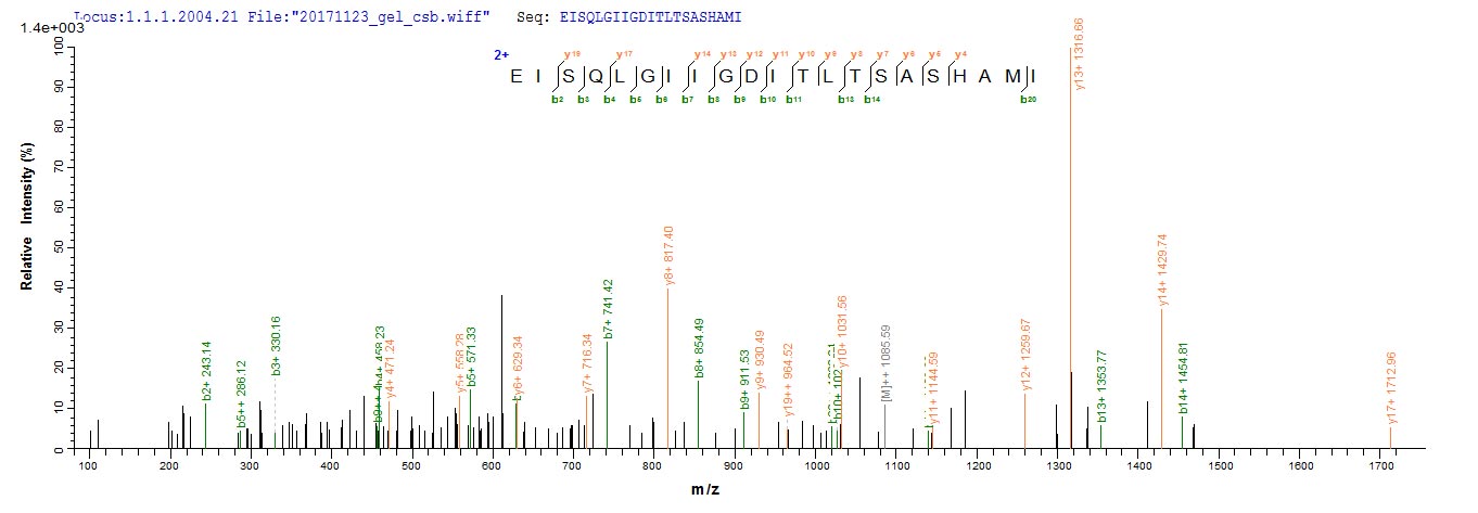 LGALS3 / Galectin 3 Protein - Based on the SEQUEST from database of E.coli host and target protein, the LC-MS/MS Analysis result of Recombinant Rat Galectin-3(Lgals3) could indicate that this peptide derived from E.coli-expressed Rattus norvegicus (Rat) Lgals3.
