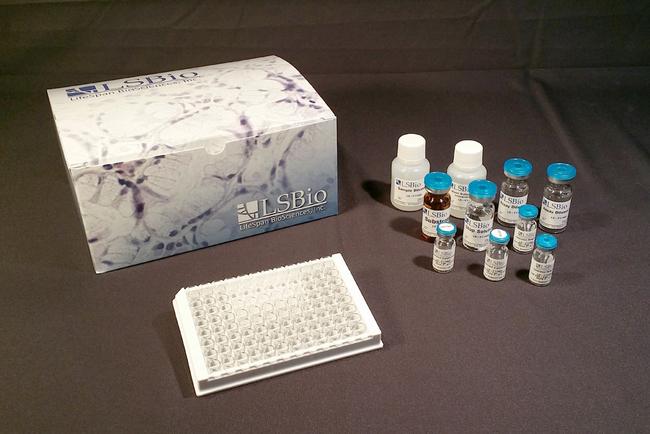 MAP1LC3A / LC3A ELISA Kit