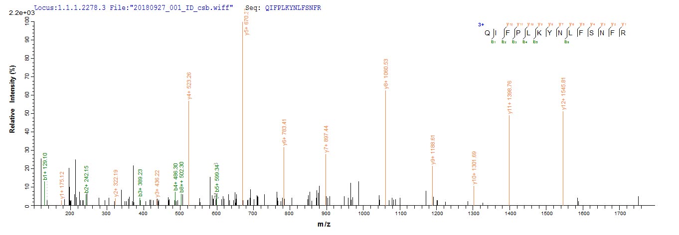 Mcpt4 Protein - Based on the SEQUEST from database of E.coli host and target protein, the LC-MS/MS Analysis result of Recombinant Rat Mast cell protease 4(Mcpt4) could indicate that this peptide derived from E.coli-expressed Rattus norvegicus (Rat) Mcpt4.