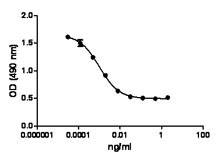 TNF Alpha Protein - Rat TNF-a cytotoxicity on L929 cells