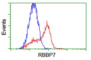 RBBP7 / RbAp46 Antibody - HEK293T cells transfected with either overexpress plasmid (Red) or empty vector control plasmid (Blue) were immunostained by anti-RBBP7 antibody, and then analyzed by flow cytometry.
