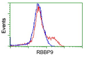 RBBP9 Antibody - HEK293T cells transfected with either overexpress plasmid (Red) or empty vector control plasmid (Blue) were immunostained by anti-RBBP9 antibody, and then analyzed by flow cytometry.