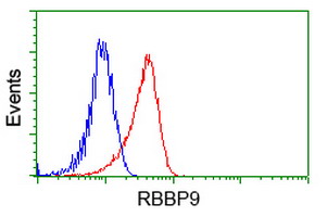 RBBP9 Antibody - Flow cytometric Analysis of Hela cells, using anti-RBBP9 antibody, (Red), compared to a nonspecific negative control antibody, (Blue).