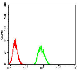RBFOX3 / NEUN Antibody - Flow cytometric analysis of Hela cells using RBFOX3 mouse mAb (green) and negative control (red).